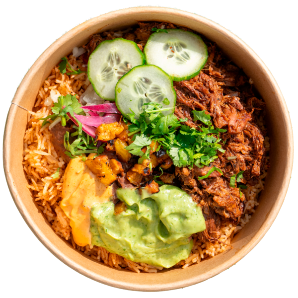 Birria Ricebox